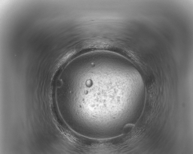 X0000060230679200510311548