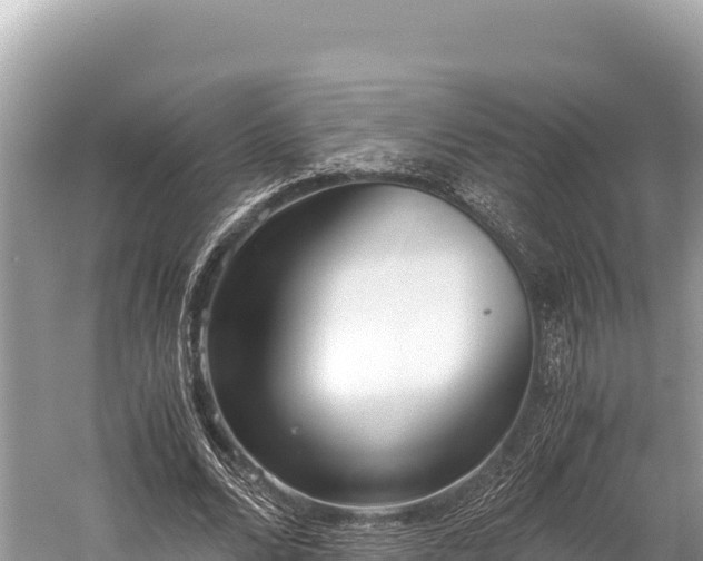 X0000060230680200510311548