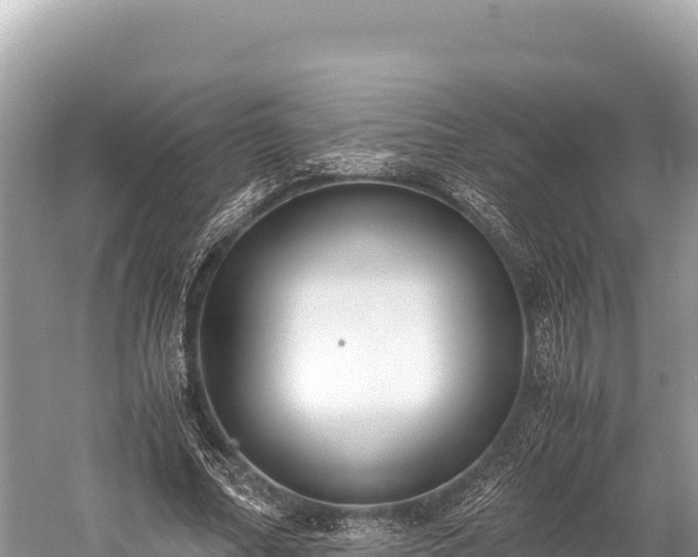 X0000060230682200510311548