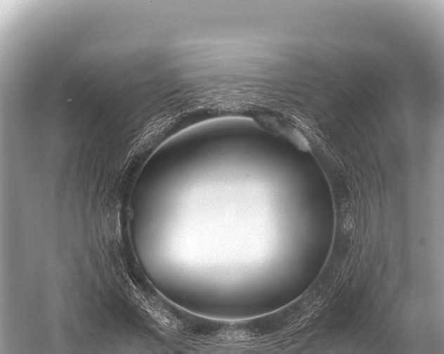 X0000060230685200510311548