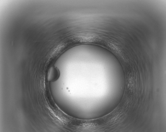 X0000060230686200510311548