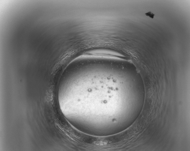 X0000060230687200510311548