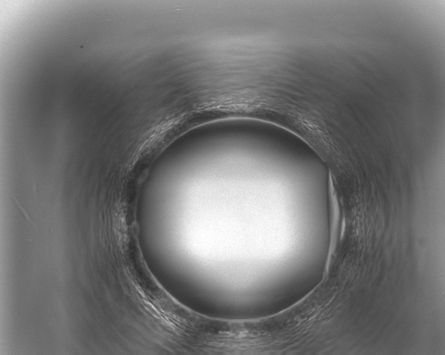 X0000060230688200510311548