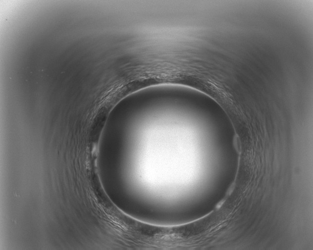 X0000060230689200510311548