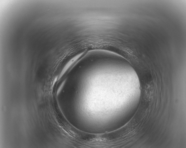 X0000060230691200510311548