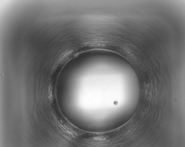 X0000060230692200510311548