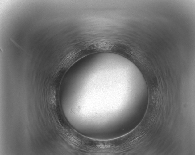 X0000060230693200510311548