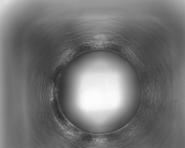 X0000060230694200510311548