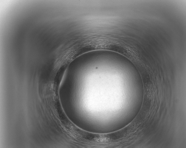 X0000060230695200510311548