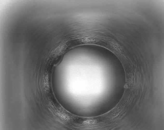 X0000060230700200510311548