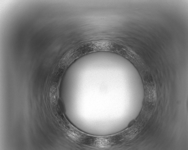 X0000060230701200510311548