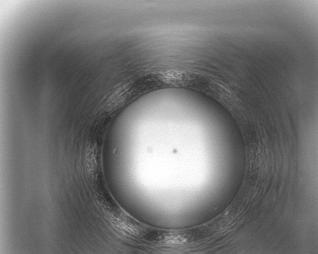 X0000060230702200510311548