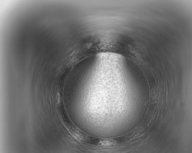 X0000060230703200510311548