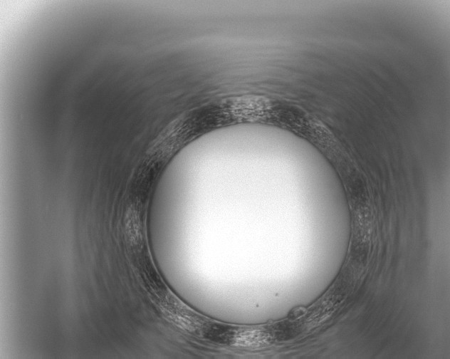 X0000060230705200510311548