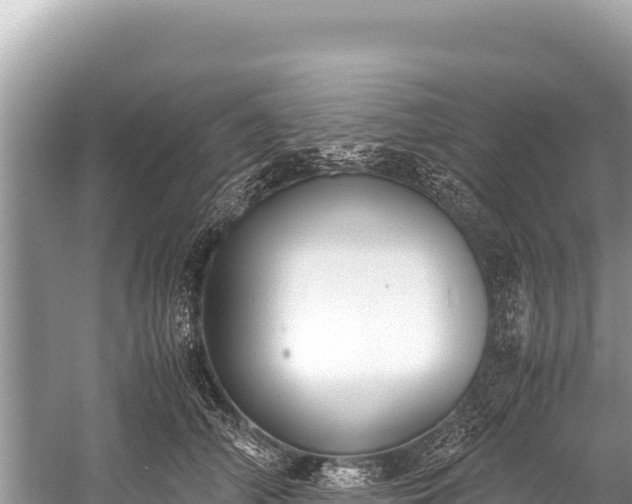 X0000060230706200510311548