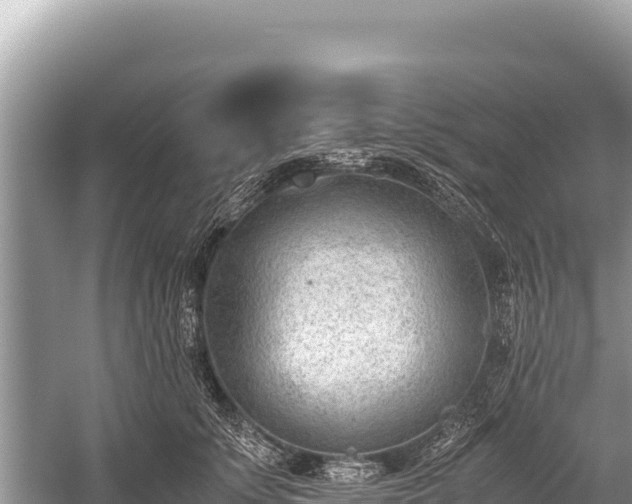 X0000060230707200510311547