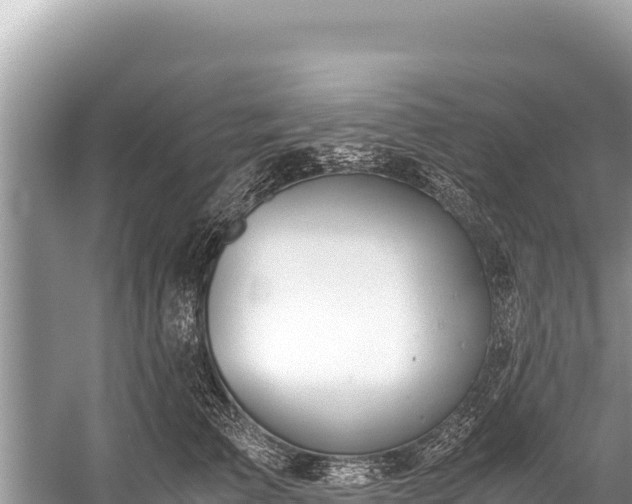 X0000060230709200510311547