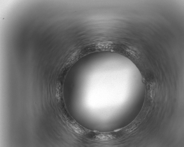 X0000060230712200510311547