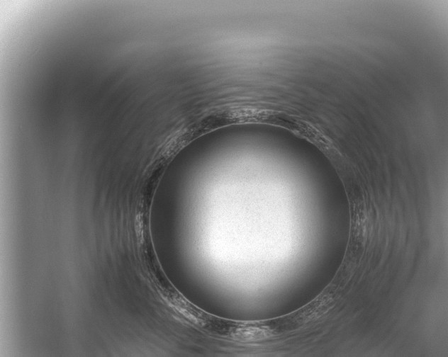 X0000060230716200510311547