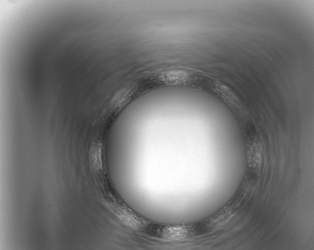 X0000060230717200510311547