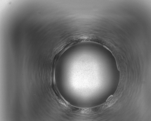 X0000060230720200510311547