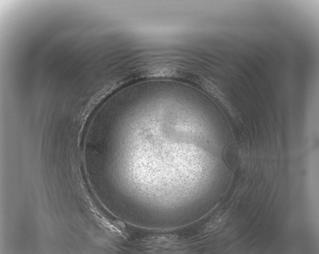 X0000060230721200510311546