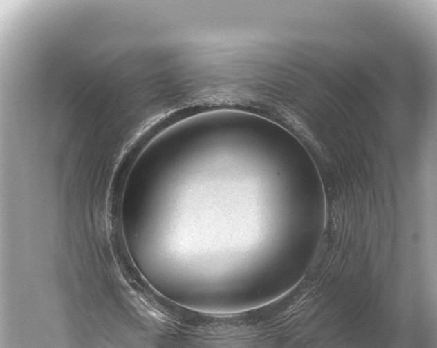 X0000060230722200510311546