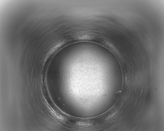 X0000060230725200510311547