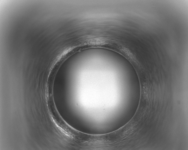 X0000060230726200510311547