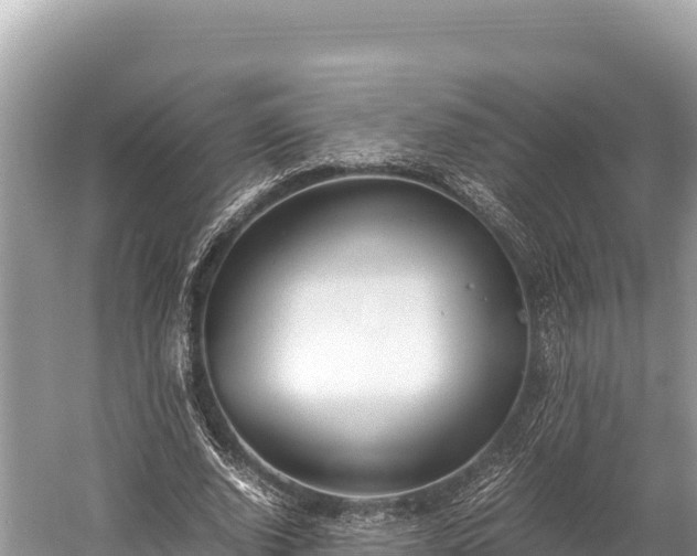 X0000060230728200510311547