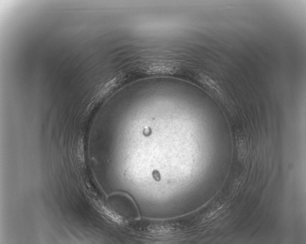 X0000060230729200510311547