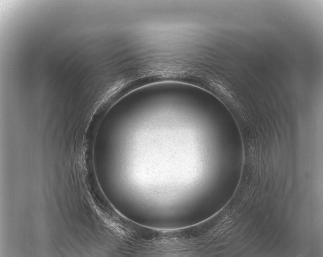 X0000060230730200510311547