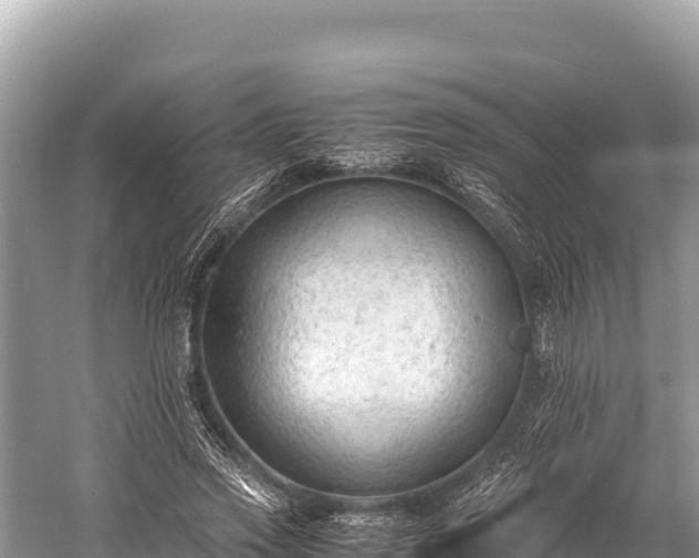 X0000060230733200510311547