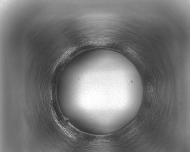 X0000060230734200510311547