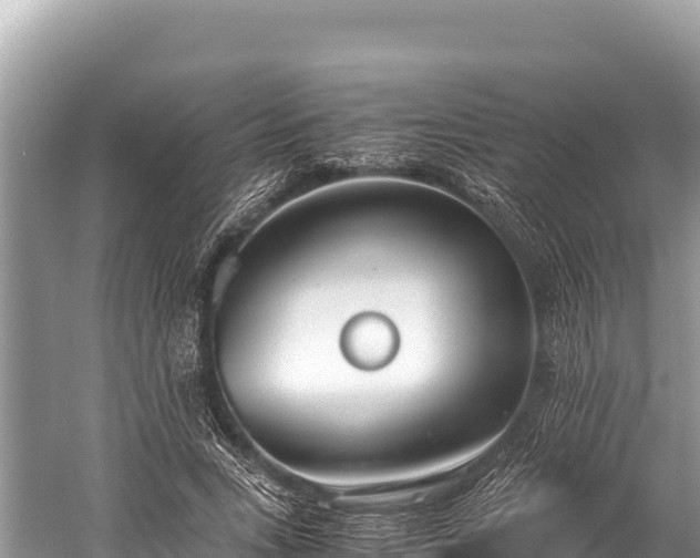 X0000060230735200510311547