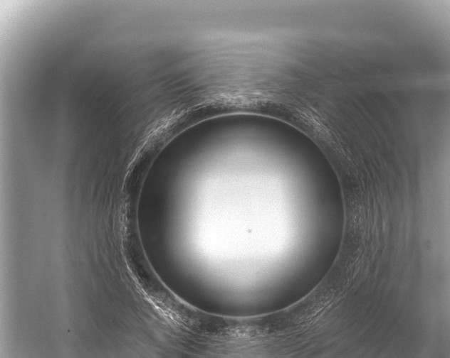 X0000060230736200510311547