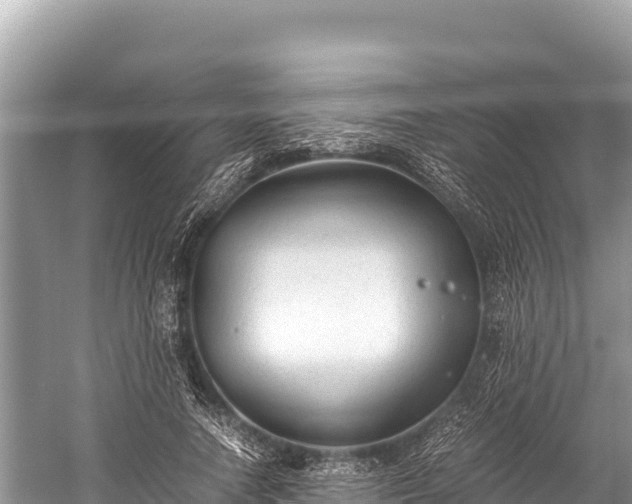 X0000060230738200510311547