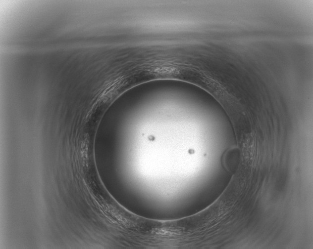 X0000060230739200510311547