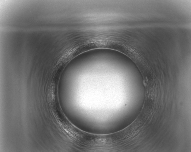 X0000060230740200510311547