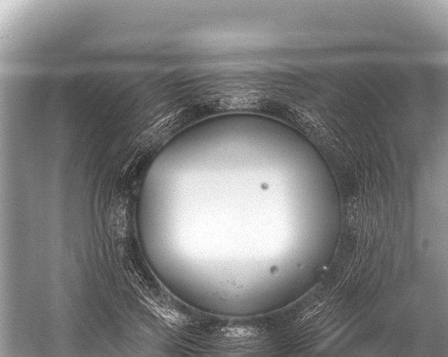 X0000060230741200510311547