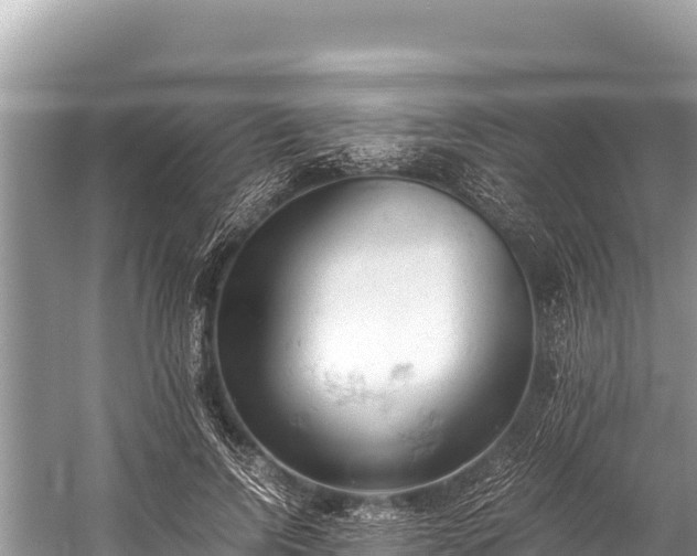 X0000060230742200510311547