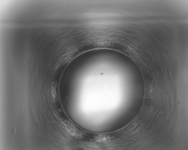 X0000060230746200510311547