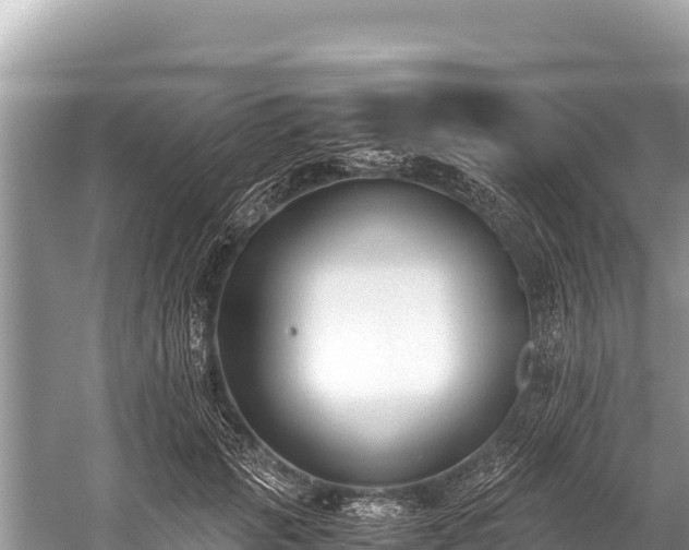 X0000060230749200510311547