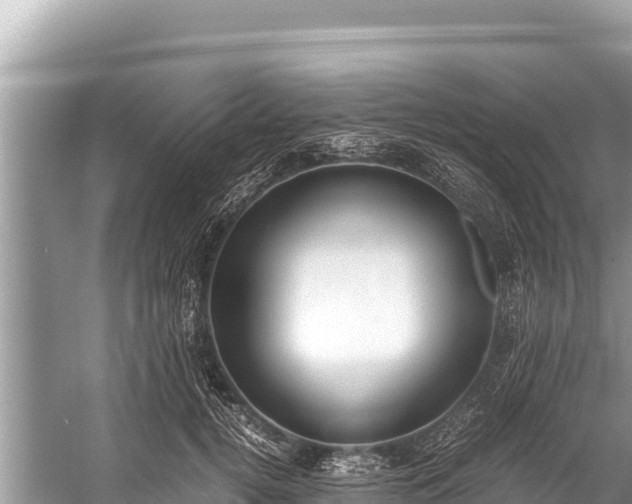 X0000060230752200510311547