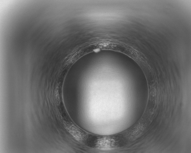 X0000060230754200510311547