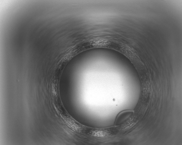 X0000060230755200510311547