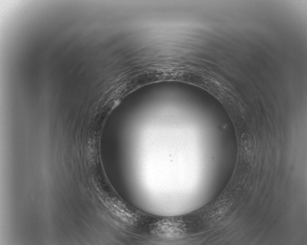 X0000060230756200510311547