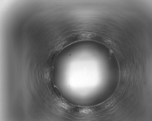 X0000060230759200510311547