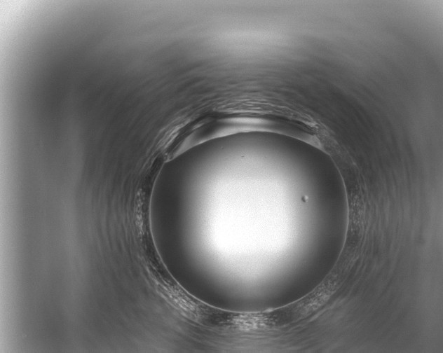 X0000060230762200510311547