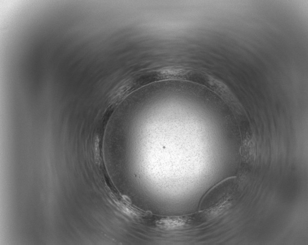 X0000060230765200510311547